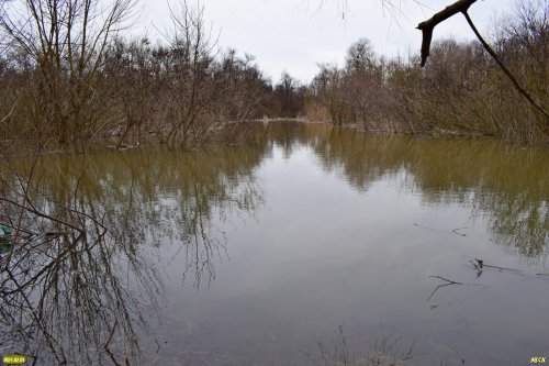 Западная часть Шапсугского водохранилища